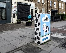 THIS IS COWTOWN [PAINT-A-BOX STREET ART ON MANOR STREET IN STONEYBATTER]-236728-1