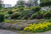 THE AREA NEAR THE OLD KIOSK SOON TO BE A TEAROOM [BLACKROCK PUBLIC PARK]-238264-1