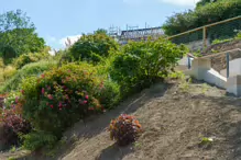 THE AREA NEAR THE OLD KIOSK SOON TO BE A TEAROOM [BLACKROCK PUBLIC PARK]-238269-1