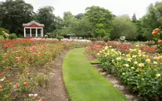 BOTANIC GARDENS IN BELFAST [26 JUNE 2014]-233034-1