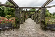 BOTANIC GARDENS IN BELFAST [26 JUNE 2014]-233035-1