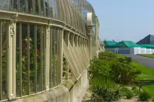 THE MANY GLASSHOUSES AT THE BOTANIC GARDENS IN DUBLIN [GLASNEVIN MAY 2013]-234469-1