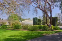 THE MANY GLASSHOUSES AT THE BOTANIC GARDENS IN DUBLIN [GLASNEVIN MAY 2013]-234472-1