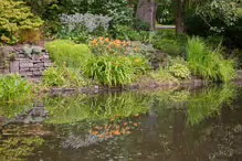 THE POND AREA OF THE BOTANIC GARDENS [AS IT WAS BACK IN 2009]-232978-1