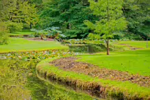 THE POND AREA OF THE BOTANIC GARDENS [AS IT WAS BACK IN 2009]-232979-1