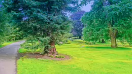 THE POND AREA OF THE BOTANIC GARDENS [AS IT WAS BACK IN 2009]-232987-1