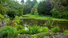 THE POND AREA OF THE BOTANIC GARDENS [AS IT WAS BACK IN 2009]-232988-1