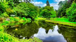 THE POND AREA OF THE BOTANIC GARDENS [AS IT WAS BACK IN 2009]-232989-1