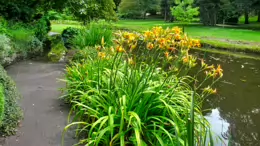 THE POND AREA OF THE BOTANIC GARDENS [AS IT WAS BACK IN 2009]-232993-1