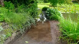 THE POND AREA OF THE BOTANIC GARDENS [AS IT WAS BACK IN 2009]-232994-1