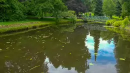 THE POND AREA OF THE BOTANIC GARDENS [AS IT WAS BACK IN 2009]-232996-1