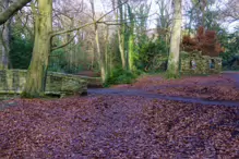 THE SHELL HOUSE FOLLY JANUARY 2013 [LOCATED IN BUSHY PARK] X-234898-1