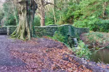 SOME OF THE BRIDGES IN BUSHY PARK [1 JANUARY 2013 WHICH WAS MY BIRTHDAY]-234865-1