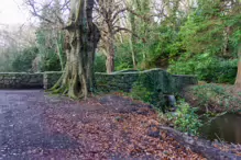 SOME OF THE BRIDGES IN BUSHY PARK [1 JANUARY 2013 WHICH WAS MY BIRTHDAY]-234866-1