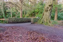 SOME OF THE BRIDGES IN BUSHY PARK [1 JANUARY 2013 WHICH WAS MY BIRTHDAY]-234868-1