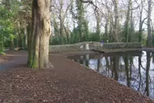 SOME OF THE BRIDGES IN BUSHY PARK [1 JANUARY 2013 WHICH WAS MY BIRTHDAY]-234874-1