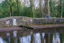 SOME OF THE BRIDGES IN BUSHY PARK [1 JANUARY 2013 WHICH WAS MY BIRTHDAY]-234876-1