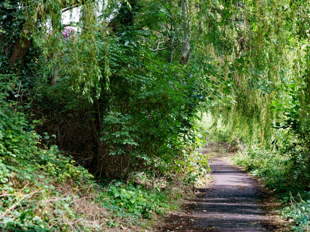 DODDER WALK