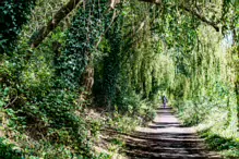 MILLTOWN SECTION OF THE DODDER TRAIL [DOGS ARE WELCOME BUT MUST BE ON A LEASH]-239206-1