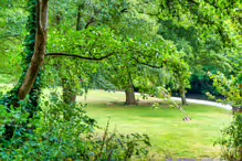 GRACE O'DONNELL MEMORIAL PARK [AND THE DARTRY PARK WATERFALL]-239188-1