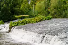 GRACE O'DONNELL MEMORIAL PARK [AND THE DARTRY PARK WATERFALL]-239192-1