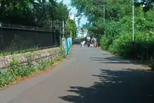 THE DONNYBROOK GREENWAY [MY FIRST TIME TO EXPLORE THIS FLOOD DEFENCE INFRASTRUCTURE]-233360-1