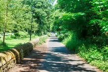 THE DONNYBROOK GREENWAY [MY FIRST TIME TO EXPLORE THIS FLOOD DEFENCE INFRASTRUCTURE]-233363-1