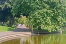 I VISITED HERBERT PARK ON A BEAUTIFUL SUNNY DAY [20 MAY 2024]-233341-1