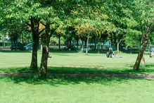 I VISITED HERBERT PARK ON A BEAUTIFUL SUNNY DAY [20 MAY 2024]-233346-1