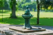 A FACILITY FOR DOGS AT HERBERT PARK [AN OLD WATER FOUNTAIN PUT TO GOOD USE]-233355-1