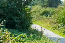 WALKING FROM SANDYMOUNT BEACH TO PIGEON HOUSE ROAD [VIA IRISHTOWN NATURE PARK]-239957-1