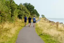 WALKING FROM SANDYMOUNT BEACH TO PIGEON HOUSE ROAD [VIA IRISHTOWN NATURE PARK]-239965-1