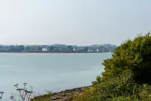 WALKING FROM SANDYMOUNT BEACH TO PIGEON HOUSE ROAD [VIA IRISHTOWN NATURE PARK]-239973-1