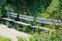 WALKING FROM SANDYMOUNT BEACH TO PIGEON HOUSE ROAD [VIA IRISHTOWN NATURE PARK]-239982-1