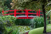 JAPANESE GARDENS [NEAR KILDARE TOWN 27 JULY 2009] X-234948-1