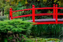 JAPANESE GARDENS [NEAR KILDARE TOWN 27 JULY 2009] X-234950-1