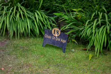 JAPANESE GARDENS [NEAR KILDARE TOWN 27 JULY 2009] X-234959-1