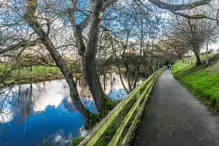 LIFFEY LINEAR PARK CHRISTMAS 2012 [ATHGARVAN ROAD SECTION]-238641-1