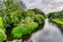 NEWBRIDGE AND THE RIVER LIFFEY [SHARE A DEEP ROOTED CONNECTION]-238517-1