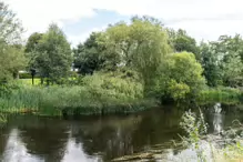 NEWBRIDGE AND THE RIVER LIFFEY [SHARE A DEEP ROOTED CONNECTION]-238521-1