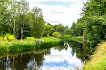 NEWBRIDGE AND THE RIVER LIFFEY [SHARE A DEEP ROOTED CONNECTION]-238524-1