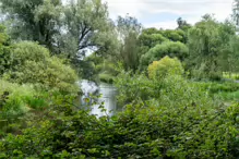 NEWBRIDGE AND THE RIVER LIFFEY [SHARE A DEEP ROOTED CONNECTION]-238528-1