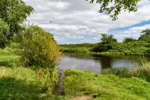 NEWBRIDGE AND THE RIVER LIFFEY [SHARE A DEEP ROOTED CONNECTION]-238531-1