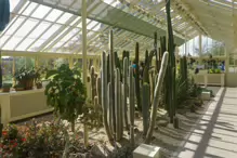 THE MANY GLASSHOUSES AT THE BOTANIC GARDENS IN DUBLIN [GLASNEVIN MAY 2013]-234475-1