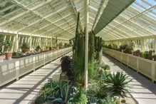 THE MANY GLASSHOUSES AT THE BOTANIC GARDENS IN DUBLIN [GLASNEVIN MAY 2013]-234477-1