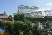 THE MANY GLASSHOUSES AT THE BOTANIC GARDENS IN DUBLIN [GLASNEVIN MAY 2013]-234483-1