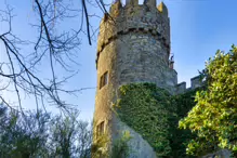 MALAHIDE CASTLE ON A SUNNY DAY [WAY BACK IN JANUARY 2013]-234364-1