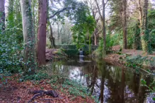 SOME OF THE BRIDGES IN BUSHY PARK [1 JANUARY 2013 WHICH WAS MY BIRTHDAY]-234862-1