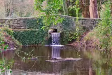 SOME OF THE BRIDGES IN BUSHY PARK [1 JANUARY 2013 WHICH WAS MY BIRTHDAY]-234863-1