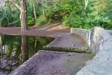 SOME OF THE BRIDGES IN BUSHY PARK [1 JANUARY 2013 WHICH WAS MY BIRTHDAY]-234870-1